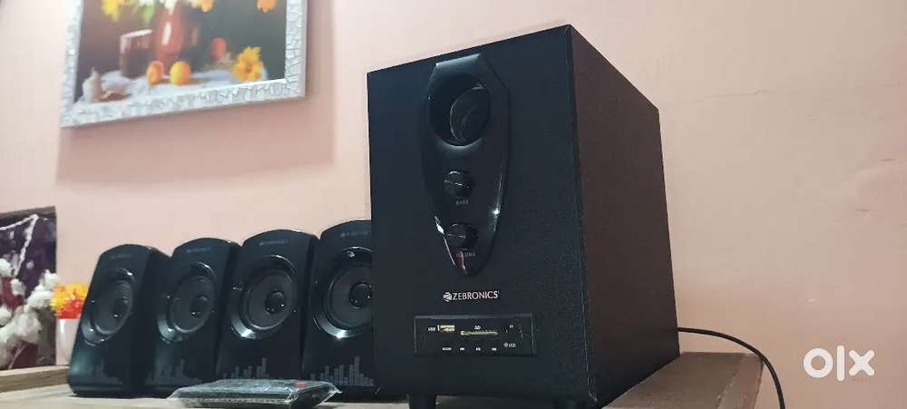 Zebronics Home Theatre