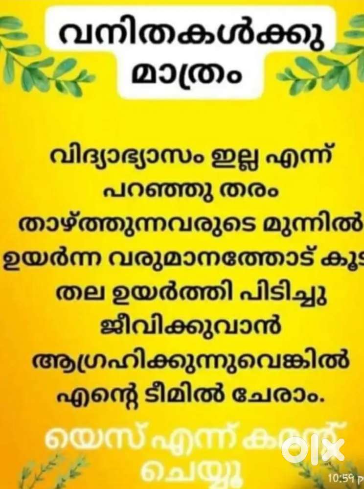 Senior Finance consultant