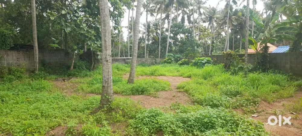 Newly built house for sale near Pamamcode, Pappanamcode