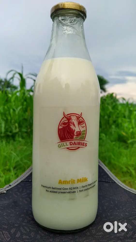 Gill Dairy Farm's Milk Delivery