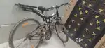 Cycle with double shockers