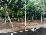 10000 Sqft Farm Land with Teak and Mango Trees at Chengalpattu