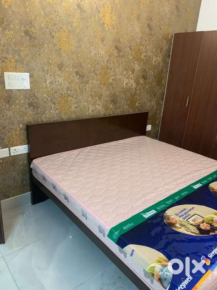 Req.only cooperative female