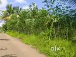 40 cent plot for sale