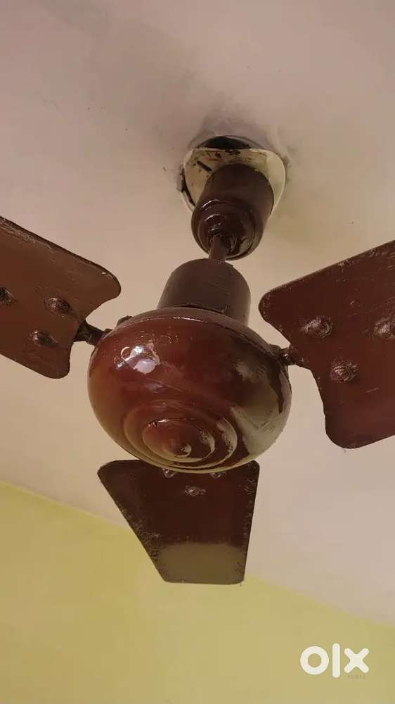 Selling fan since 1964