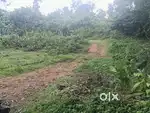 Thirumarady near 20 cent houseplot tar road face  1 lk per cent only