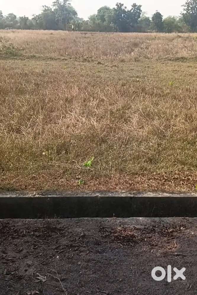 25 × 50 =1500 वर्ग फीट डाइवर्टेड प्लॉट