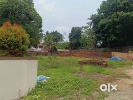 Very attractive 7 cent land near chevayur, 13 lakh per cent