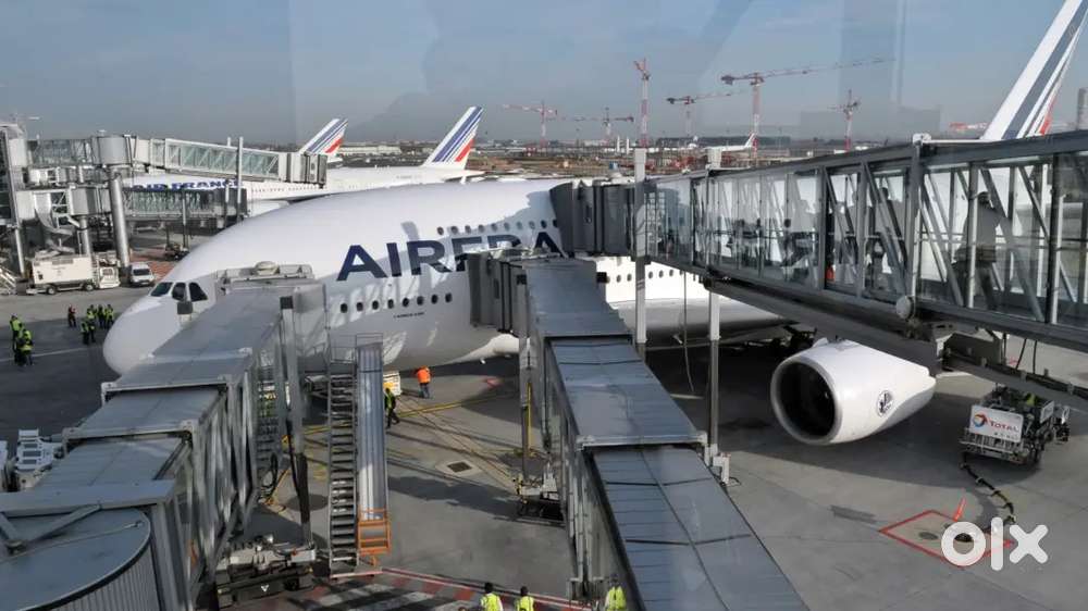 Hiring for Airport Job in Delhi.