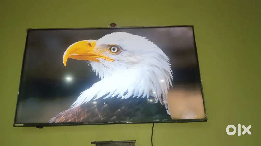 TV 4k 50 inch tv big size