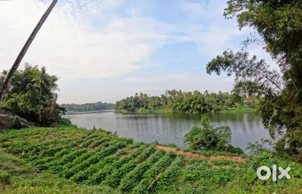 Waterfront land for sale