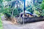 6.35 cent plot for sale near Railway station Neyyattinkara