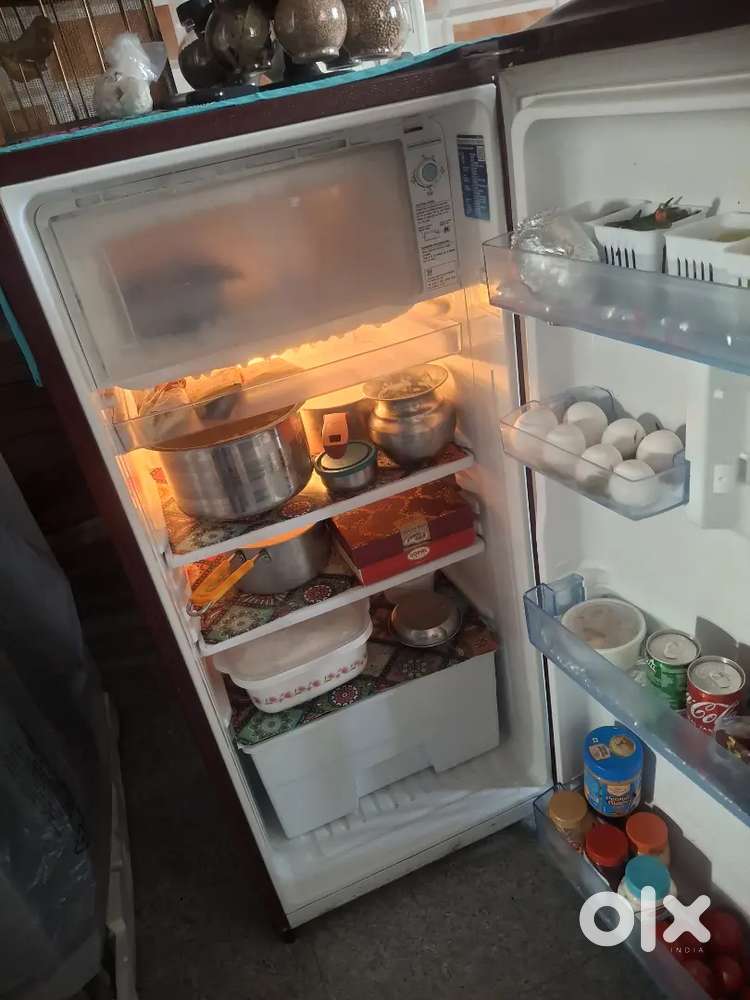 Single door refrigerator