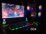 6 months old gaming pc  setup