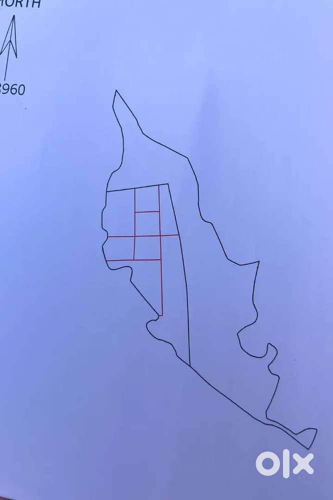 Farm land
Pachama village near sehore toll naka