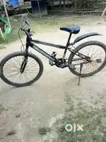 8 month using cycle