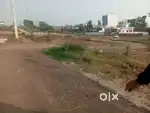 Mean markit near by nalagarh bus stand and new nalgarh resneble price