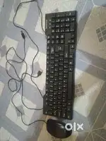 Mouse and keyboard