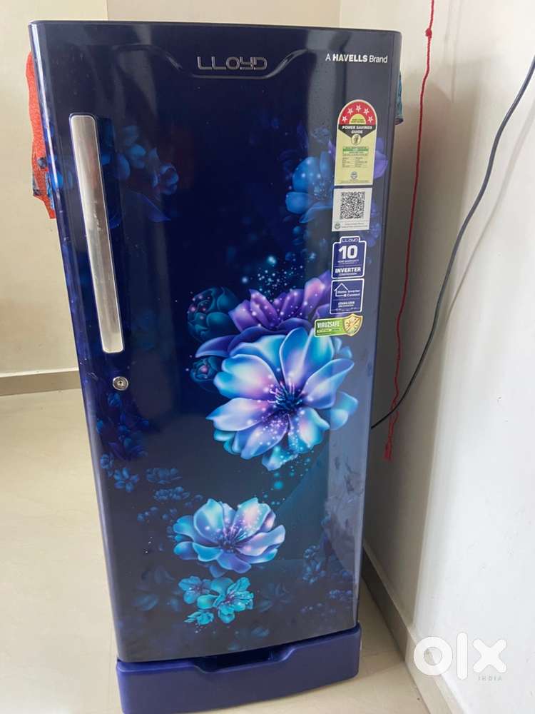 Lloyd, single door fridge