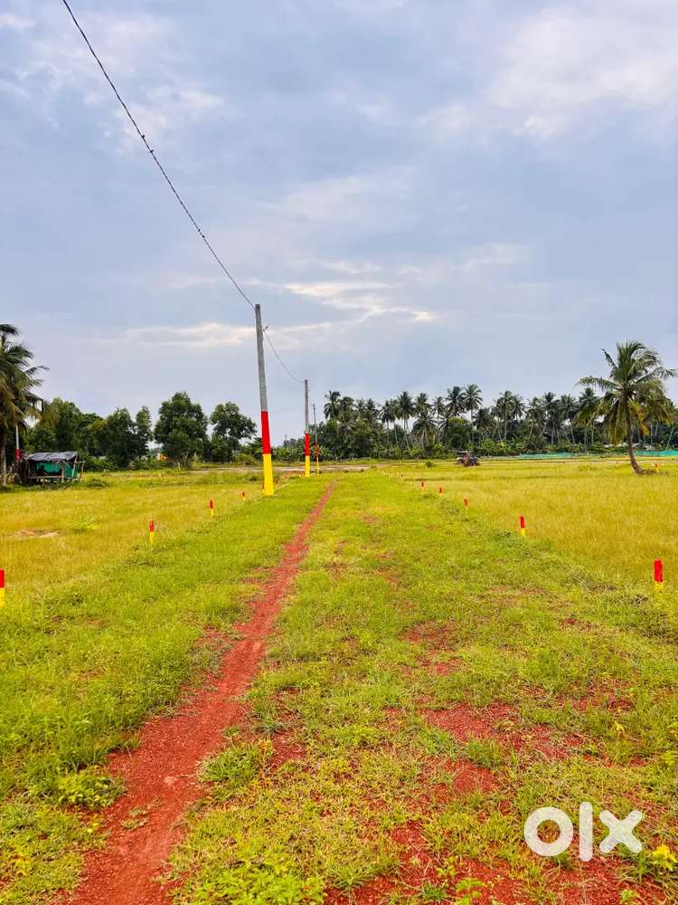Exclusive Plot for Sale in PURI