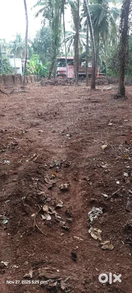 Alavil - Aramkottam - 6 cents for sale