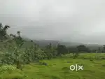 I want sell my property for resort and farm house