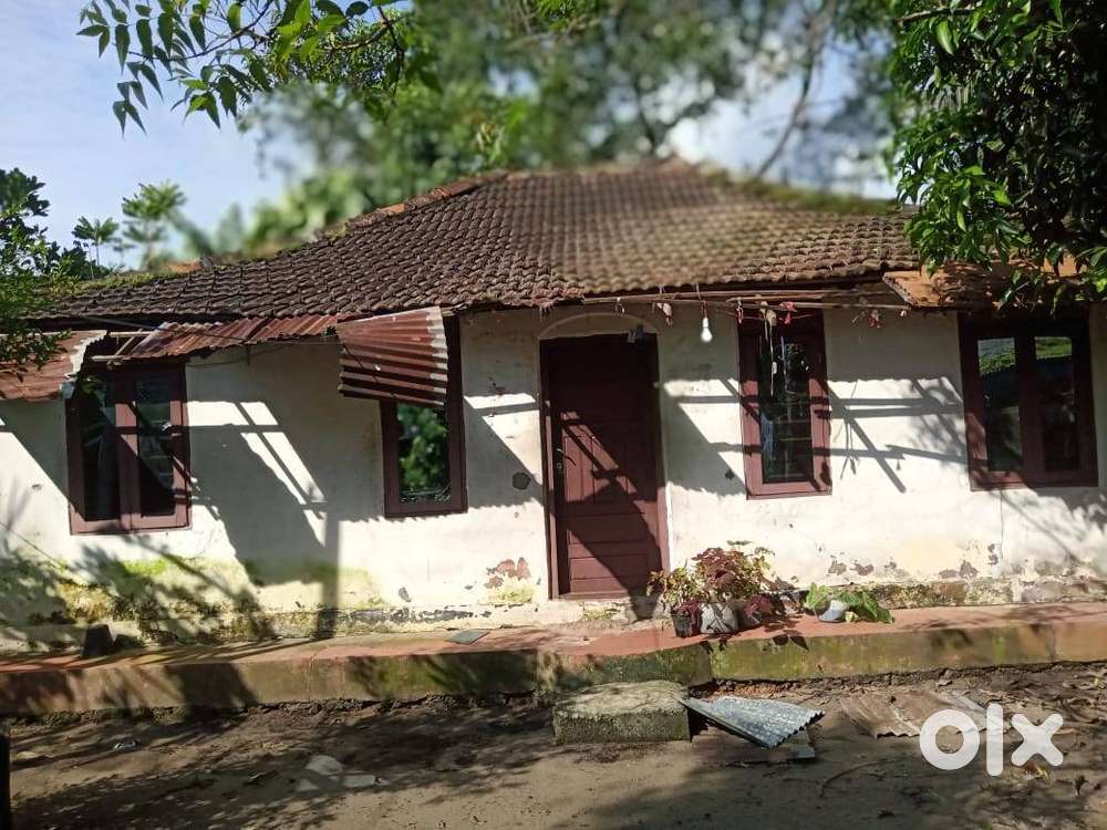 Residential Land for sale near Mammod Junction, Alappuzha
