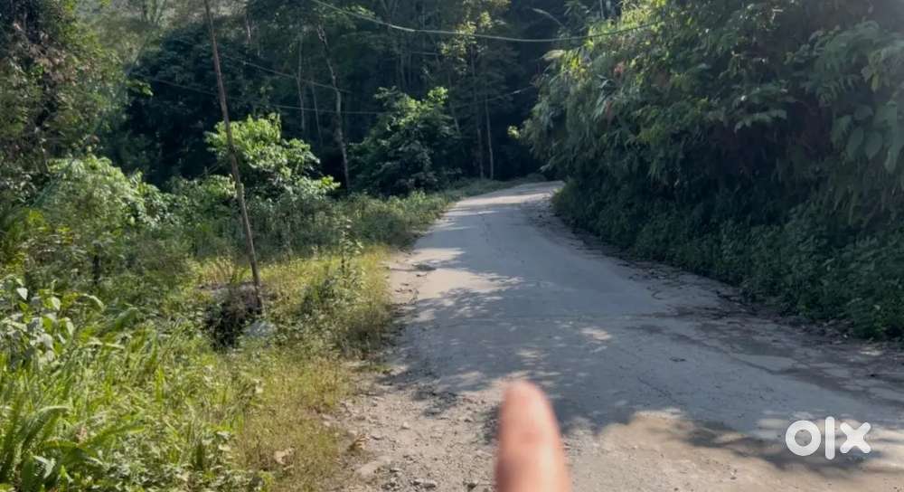 Land for sale near tourist resort and homestay