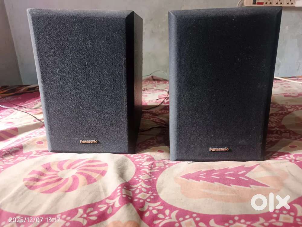 Panasonic Speaker System