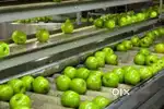 Wanted m/ f  counter staffs / packing staffs