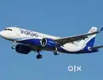Urgent need for ground staff job in freshers candidate in Indigo