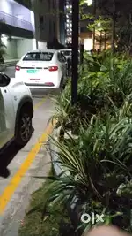 Wanted driver for IT company