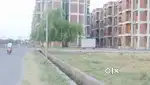 1bhk flat for rent