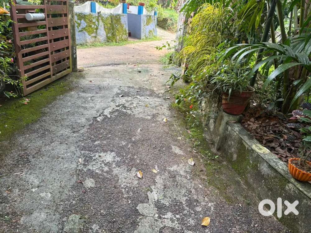 House and plot for sale