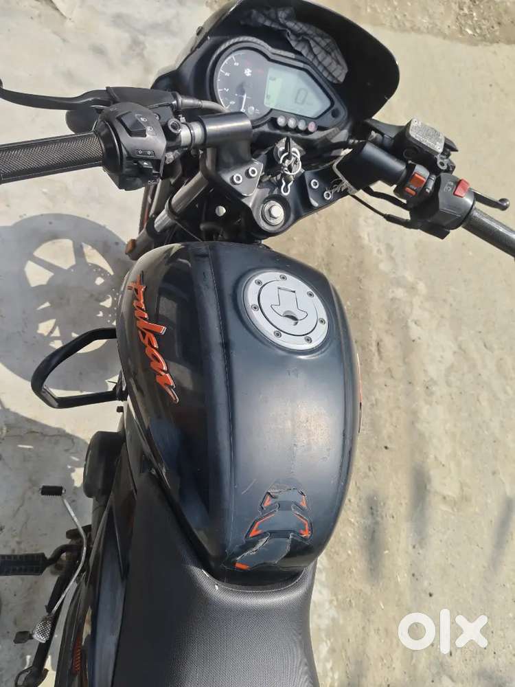 Brand new pulsar