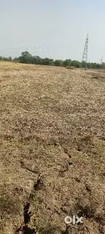 3 Decinal plot for sale in shivsagar