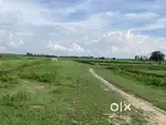 Plot for sale