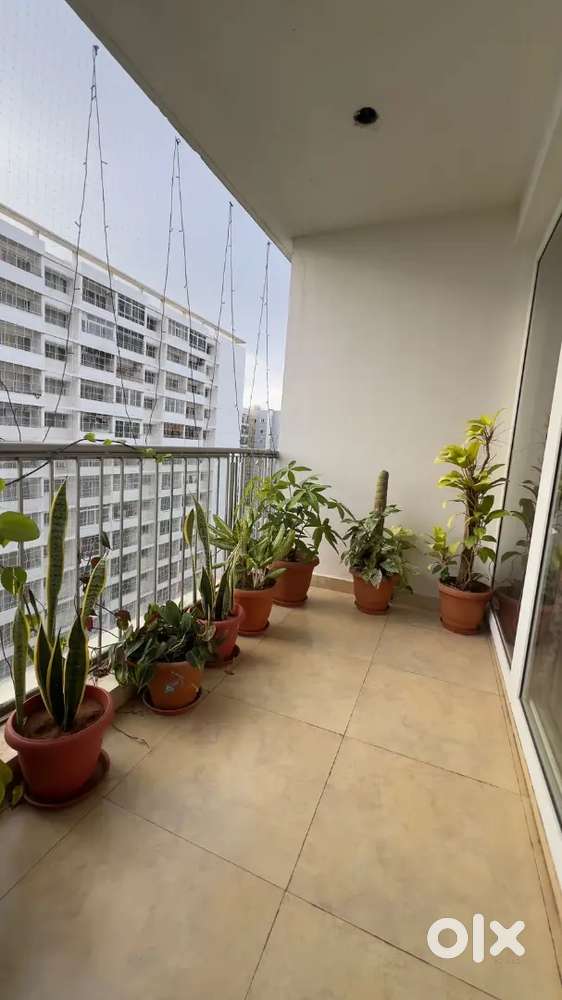 3BHK Gated society, Ajmeera Green Acres