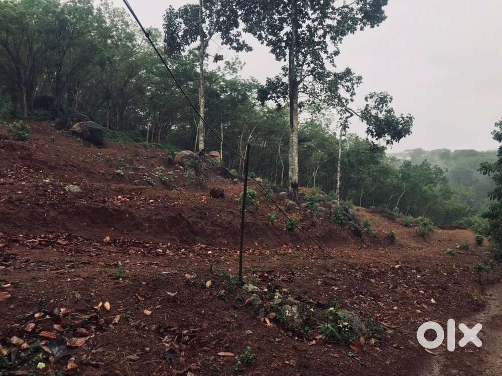 1 acre land for sale near venjaramoodu.