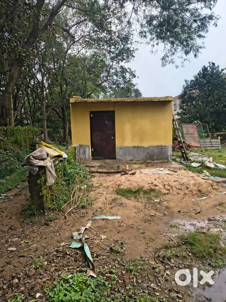 Single room for rent purpus