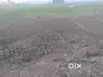 Land for sell near at Sabaila chowk (500m west)