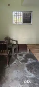 Room for bachelor Female