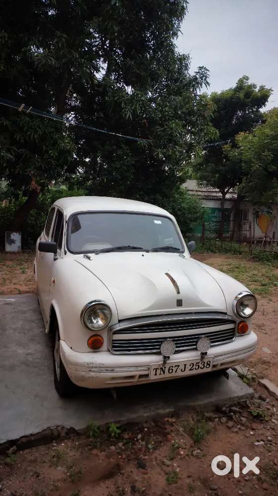 Ambassador Ambassador 2008