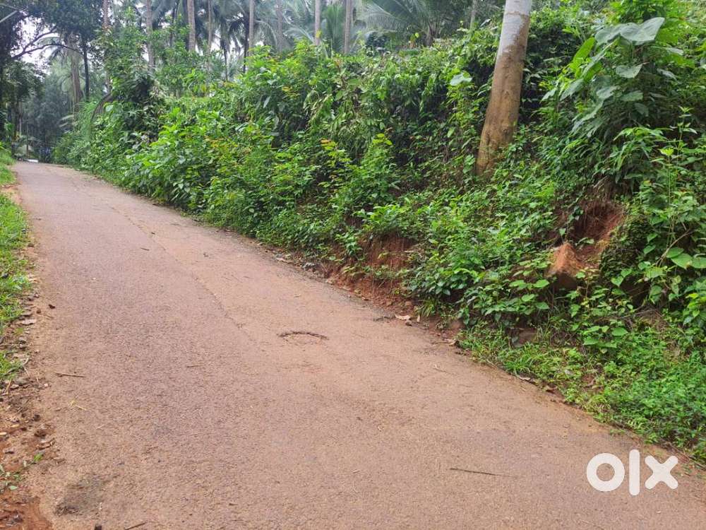 12 cent house plot for sale