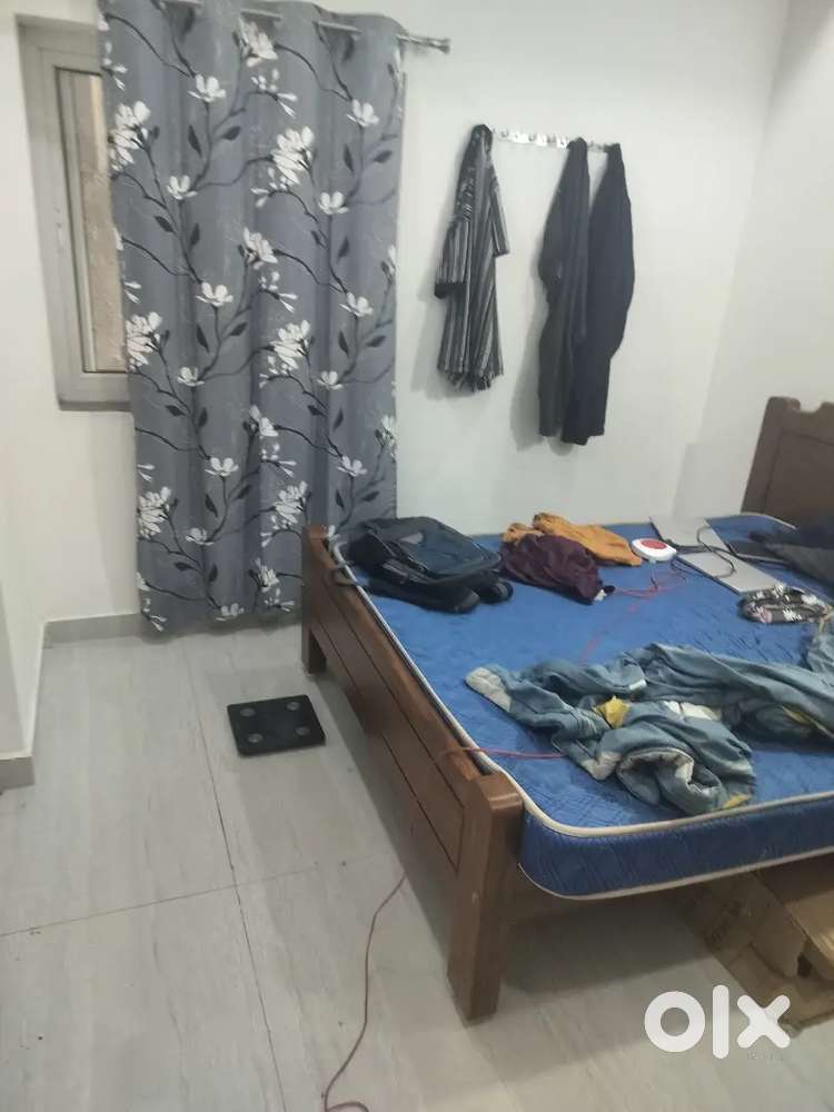 Need Roomate