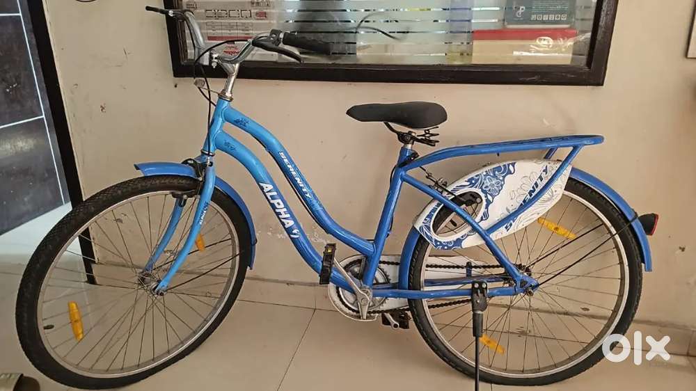 Well-Maintained City Bicycle – Great for Daily Use