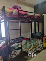 BUNK BED used for 3 years