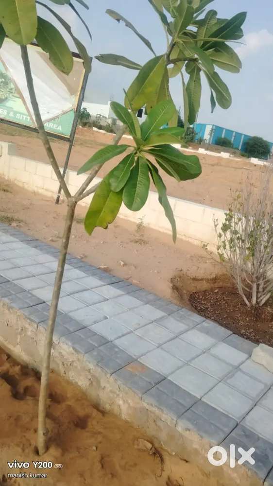 Gatated township jda approved rera approved