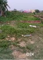 Near Gudiapokhari, pipili