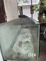 Glass Fish Tank